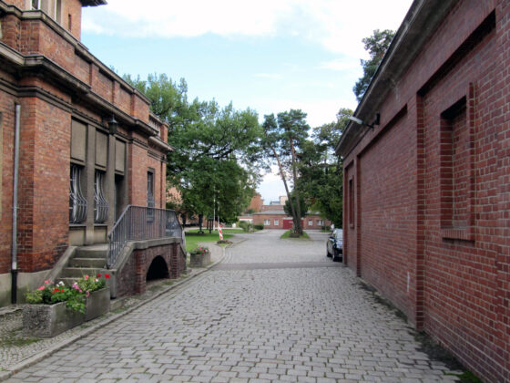 Pflasterstraße zwischen historischen Backsteingebäuden mit Bäumen im Hintergrund.