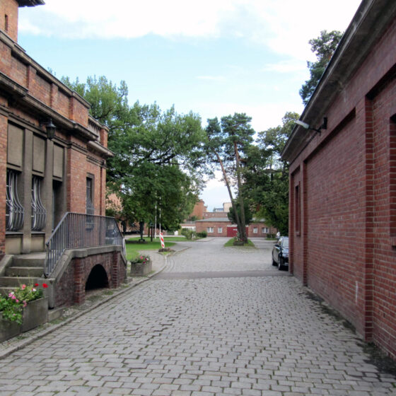 Pflasterstraße zwischen historischen Backsteingebäuden mit Bäumen im Hintergrund.