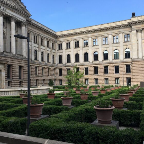 Grüner Innenhof mit Pflanzen und historischen Gebäuden im Hintergrund.