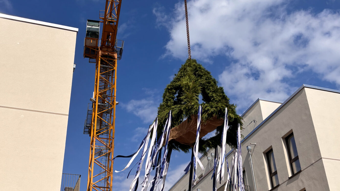 Kran hebt traditionelles Maibaum-Brauchtum über Neubauten in sonniger Umgebung.