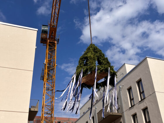 Kran hebt traditionelles Maibaum-Brauchtum über Neubauten in sonniger Umgebung.