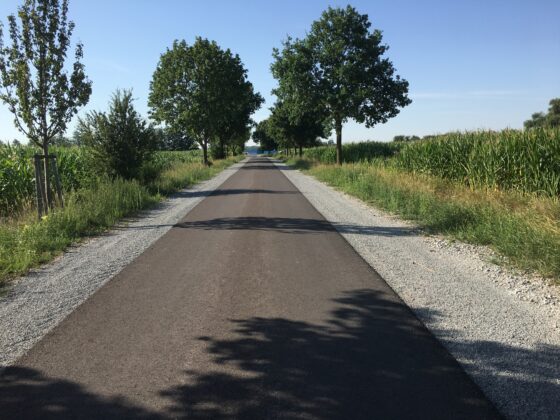 Ruhige Landstraße mit Bäumen und Maisfeldern in sonniger Umgebung.